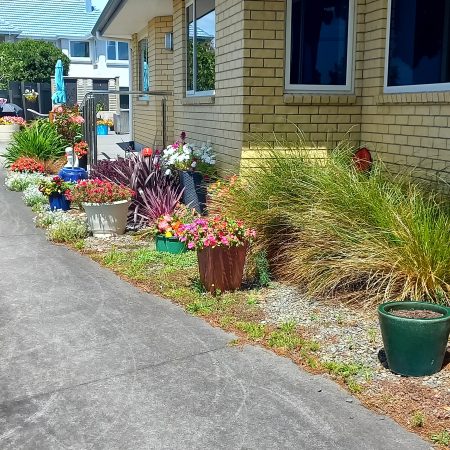 Comfy 3 Bedroom Home New Plymouth